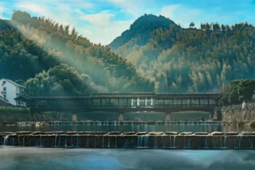 跟着赛事去旅行|穿越山海漫游千岛2025年山海杯棋王争霸赛总决赛落子千岛湖