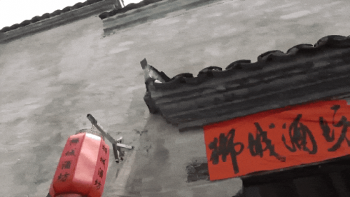 跟着赛事去旅行|穿越山海漫游千岛2025年山海杯棋王争霸赛总决赛落子千岛湖