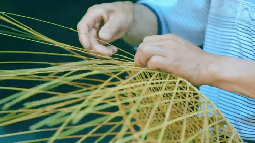 跟着赛事去旅行|穿越山海漫游千岛2025年山海杯棋王争霸赛总决赛落子千岛湖