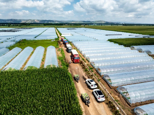 水果新势力，探索百果园优质水果品种培育之路