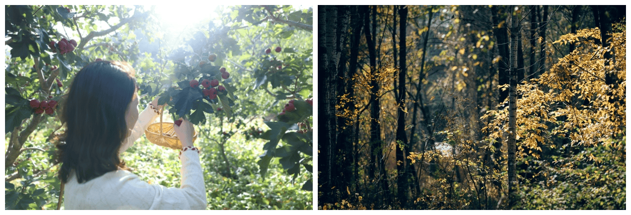 北京山谷：全龄友好社区升级，打造京郊生活新样本