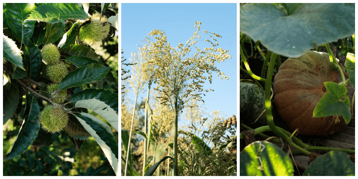 北京人的理想第二居所：北京山谷打造自然康养新生活范本