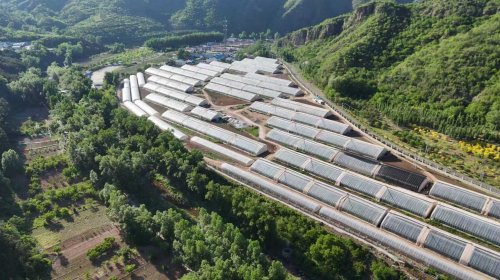 从田间到社区——马连道村“便民驿栈”如何重塑便民服务链？