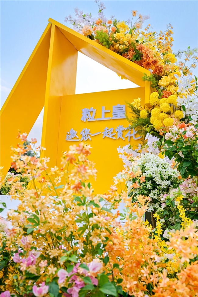 花开深圳，“栗”动登场——粒上皇亮相第27届簕杜鹃赏花周，为花海注入“现炒”热力