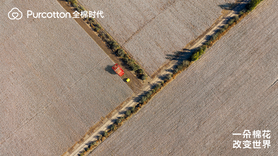一朵棉花改变世界 全棉时代溯源纪录片上线