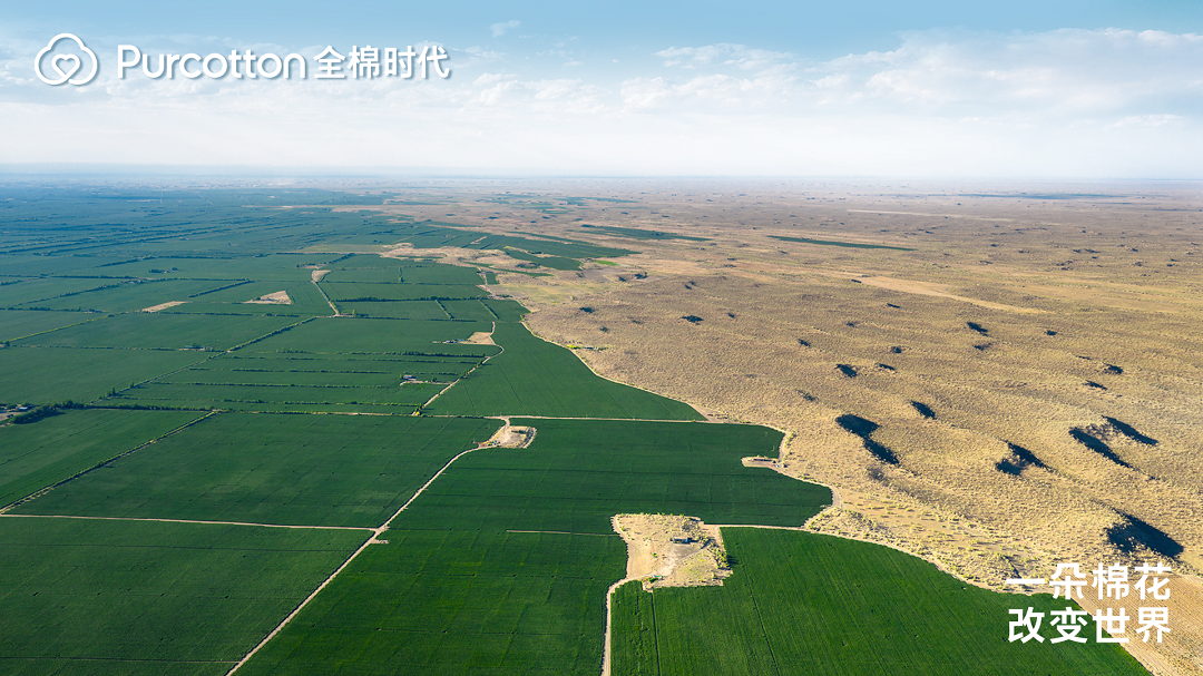 一朵棉花改变世界 全棉时代溯源纪录片上线