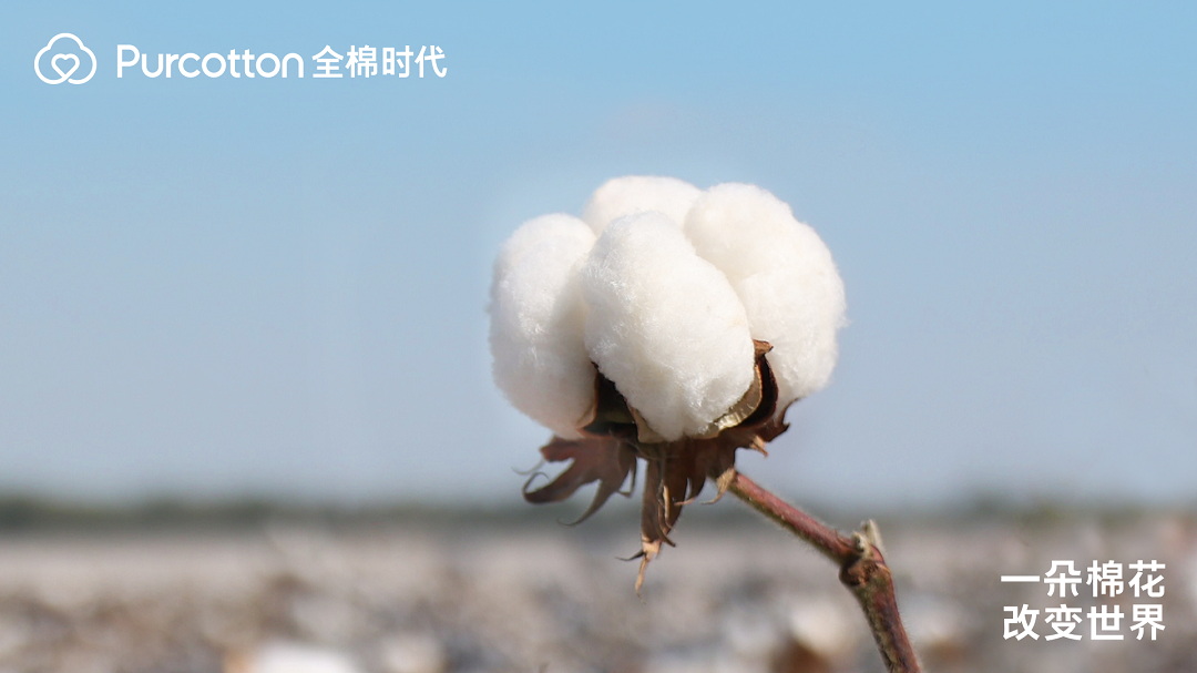 一朵棉花改变世界 全棉时代溯源纪录片上线