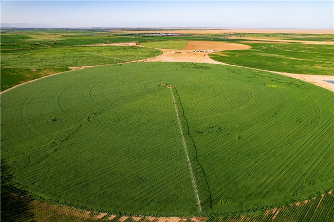 国际奥委会主席考文垂访问蒙牛：推动体育和营养融合发展 为人类健康作出更大贡献