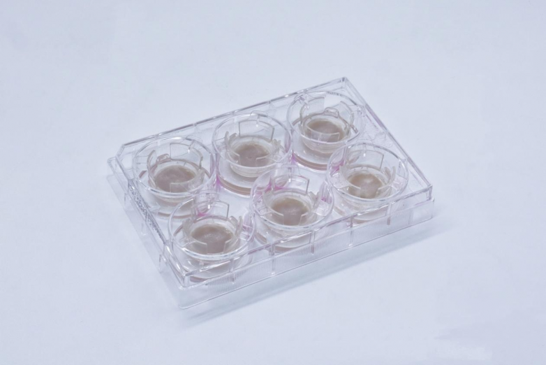 博溪检测荣获「SIA100 2025年度科学产品与技术成果」奖！技术实力获行业认可!