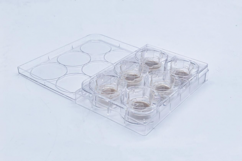 博溪检测荣获「SIA100 2025年度科学产品与技术成果」奖！技术实力获行业认可!