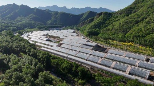 深化数字技术应用 马连道村释放便民数字红利