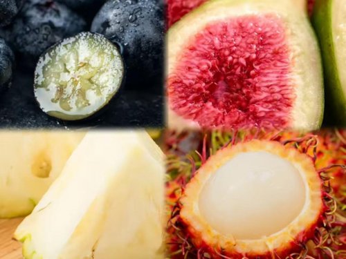 跨越千里的新奇特水果：揭秘百果园的全球直采“寻鲜地图”