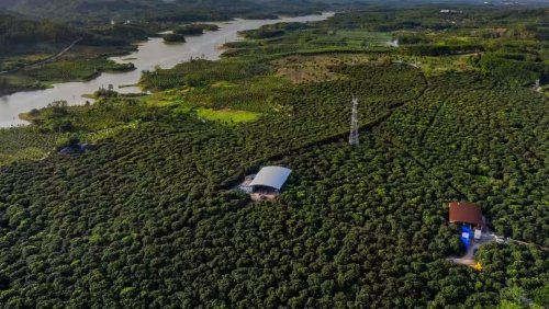 百果园首创“礼品无忧送”，收礼人可享随心退服务