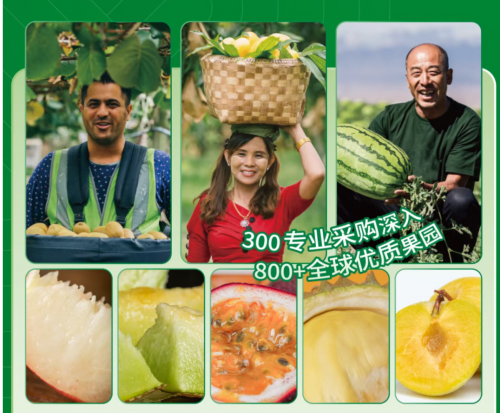跨越千里的新奇特水果：揭秘百果园的全球直采“寻鲜地图”