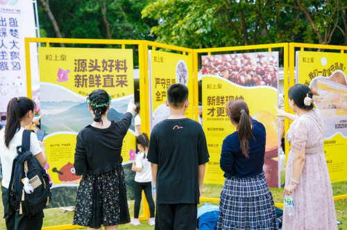 热度持续飙升！粒上皇“赏花周”限定活动引爆鹏城朋友圈