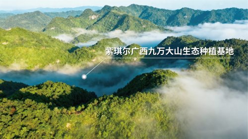紫琪尔20周年:智慧科技成就女性健康之美