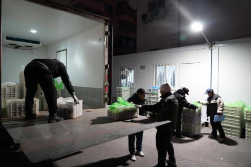 深化数字技术应用 马连道村释放便民数字红利