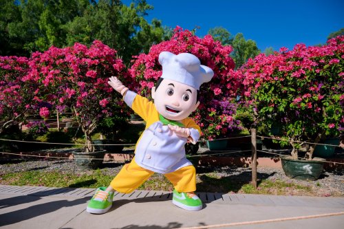 花开正好，美味登场！康师傅空降莲花山，做你的出游好搭子