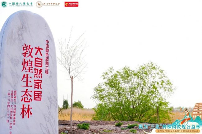 从黄河到敦煌 大自然家居 20 年绿色长征的坚守与传承
