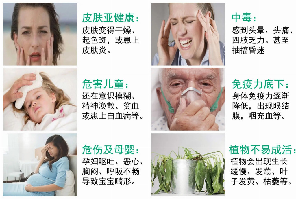 三大金标准硬核实力!读懂卓玛儿童级健康腻子的核心竞争力