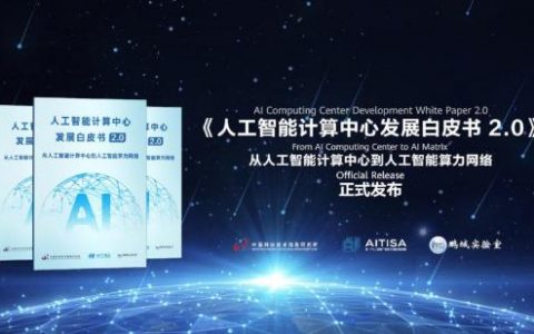 从理想照进现实，中国凭什么快速落地人工智能算力网络？