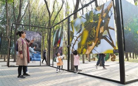 北京朝阳打造“公园城市示范区”