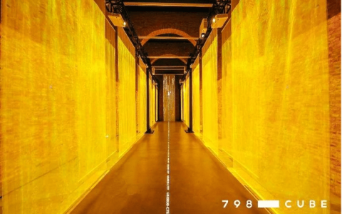 神秘一“夏”，《白洞》再探甲骨文与当代艺术的关联宇宙