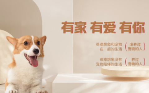 ​奥宝旭（艾贝宠物）：智能美容与寄养设备创新 全方位服务引领未来