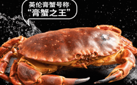 跨越8800公里，英伦膏蟹大军霸气“上岸”七欣天！