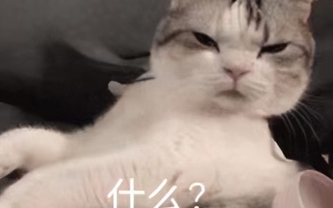 颠覆传统！当贝D6X Pro震撼登场，AI灵动屏要让友商汗流浃背了