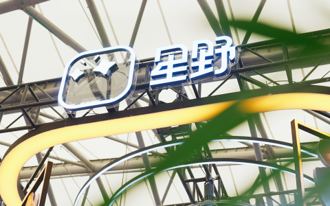 星野携众多Coser和智能体燃爆2024 ChinaJoy 跨次元盛会!
