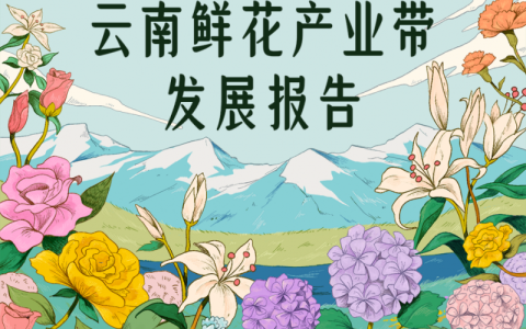 抖音电商云南鲜花产业带报告：直播带动花瓶花架等周边产品订单量增长148%