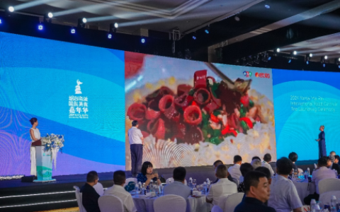 细品鲁菜传统韵味，共探美食文化底蕴
