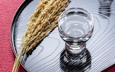 上半年20家白酒企业合计盈利近957亿！贵州茅台“遥遥领先”