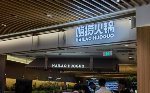 海底捞的多元探索：从火锅到餐饮生态的跨越