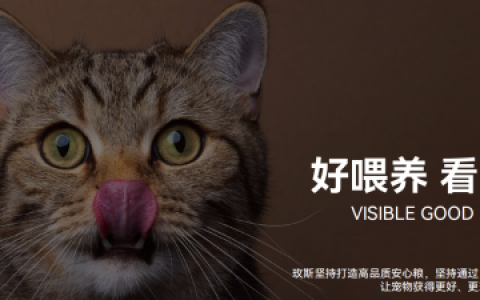玫斯METZ丨品牌全维升级，聚焦“全球视野服务本土喂养”