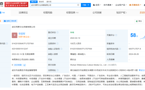 王妈合作伙伴强子退出王妈公司