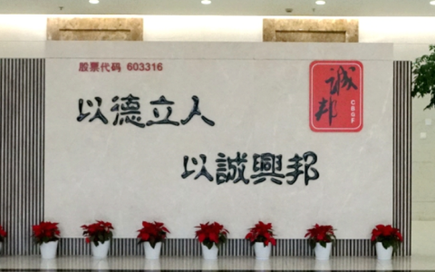 诚邦股份：布局存储新赛道，获得成长“芯”动力