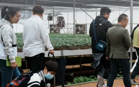 追本溯源 让品质“看得见” 御芝林《溯源之旅》策划正式启动