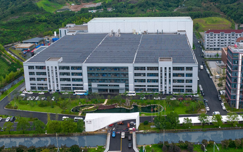 君禾股份：前三季度营收净利双增，海外市场趋势向好
