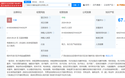赣锋锂业在广西成立新能源科技公司