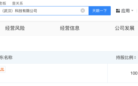 #软通动力在武汉成立科技公司# 注册资本1000万