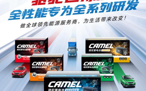 骆驼蓄电池国际版：多样化产品矩阵引领市场潮流