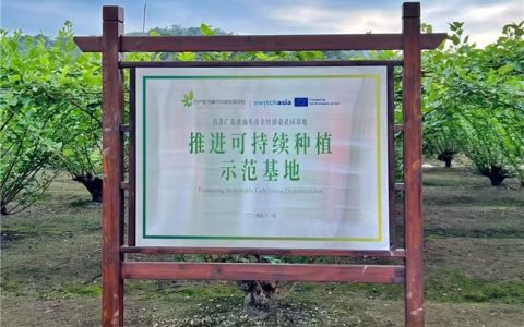 喜茶合作汕头桑葚基地获“推进可持续种植示范基地”授牌