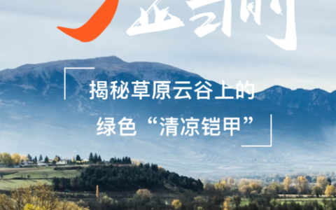 维谛技术携手中金数据开启制冷科技的革新之旅