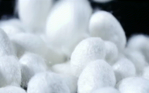 桐叶生活蚕丝卫生巾上线各渠道