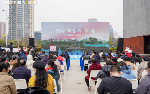 安家洋湖，N+幸福  洋湖街道优质房源集中推介会圆满落幕
