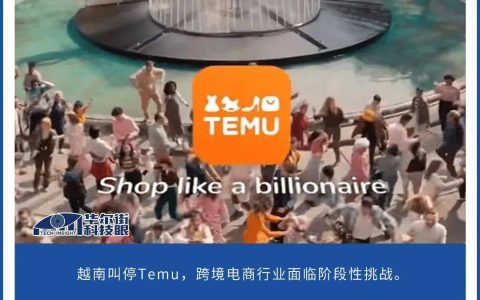 Temu迫降，中国跨境电商“随意行”受阻