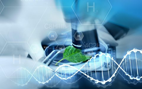 生物安全法未被NDAA纳入！CXO概念再度活跃，然机构认为威慑犹在