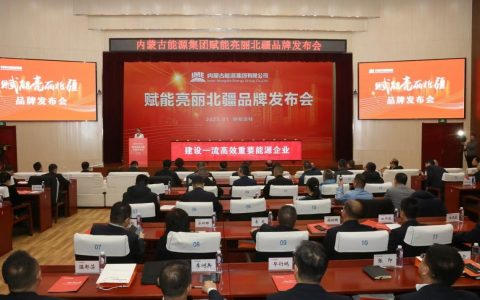 赋能亮丽北疆！内蒙古能源集团品牌正式发布